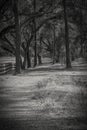 Countryside Walking Path in Tallahassee Royalty Free Stock Photo