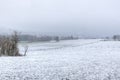 Winter snow meadows landscape, Vielsalm, Ardens, Belgium