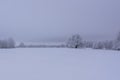 Countryside winter landscape with frosty trees Royalty Free Stock Photo