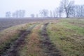 Countryside winter panorama. Color image Royalty Free Stock Photo