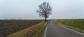 Countryside winter wide panorama. Color image Royalty Free Stock Photo