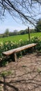 Countryside wooden bench overlooking fields.