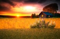 countryside of wooden cabin wildflowers in garden cloudy dramatic sky at sunset