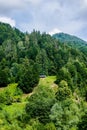 Countryside in the woods of Eastern Europe