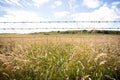 Barbed wire fence in front of a field of long grass in County Durham UK: 26th July 2020: Durham Heritage Coast