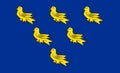 County flag of Sussex