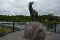 County Kerry, Republic of Ireland, August 15th 2019: Goat in Killorglin, Co. Kerry, Ireland