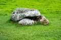 COUNTY SLIGO, IRELAND - AUGUST 25, 2017: Carrowmore Megalithic Cemetery in Sligo, Ireland