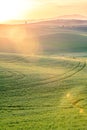 Sunlight over the farms and wheat fields Royalty Free Stock Photo