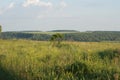 Countyside landscape