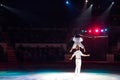 Couple aerial acrobatics in the Circus ring.