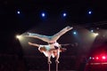 Couple aerial acrobatics in the Circus ring.