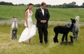 Couple with alpacas