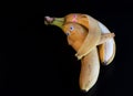 Couple of bananas hugging in love, romantic relationship