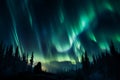 Couple basks in the enchanting glow of the Northern Lights