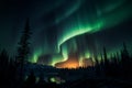 Couple basks in the enchanting glow of the Northern Lights