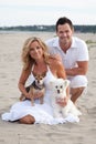 Couple on beach with pet dogs Royalty Free Stock Photo