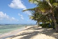 Couple on beach on St. Croix