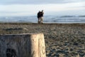 A couple of beachgoers in Westport