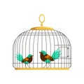 Couple of beautiful birds with colorful lush tails. Feathered creatures in vintage hanging cell. Simple flat style