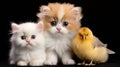 couple of beautiful cats with parrot generated by AI tool