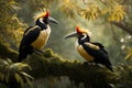 A couple of beautiful hornbills on a tree Royalty Free Stock Photo