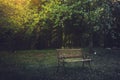 A couple bench isolated in nature in moody fantasy atmospheric nature outdoors. Grief and solitude concept background Royalty Free Stock Photo