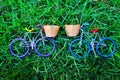 Couple bicycle with nature background