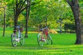 Couple bicycle under the tree in the park with nature background