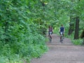 A couple on bicycles on the path of the park.