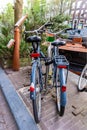 Two bicycles stand side by side on the street