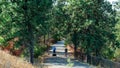 Family bike riding on trail through trees