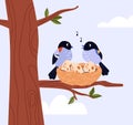 Couple of birds hatches eggs and singing in the nest on tree branch, cute bird family home, wildlife vector illustration Royalty Free Stock Photo