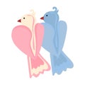 A couple of birds. Pink and blue dove in cartoon style. Vector illustration of a pair of birds as a symbol of lovers for