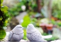 Couple birds, two white bird statues in garden through the window Royalty Free Stock Photo