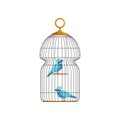 Couple blue jay characters in big hanging cell. Cute birds with bright feathers. Icon in flat style. Infographic vector Royalty Free Stock Photo