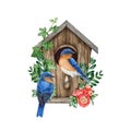 Couple of bluebirds on the birdhouse with spring floral decor. Watercolor illustration. Cozy spring decoration. Bluebird