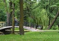 Couple love on a bridge in the green summer park Minsk Belarus