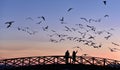 Couple on bridge at sunset