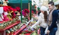 Couple buying Christmas flower at market Royalty Free Stock Photo