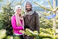 Couple buying Christmas tree on market Royalty Free Stock Photo