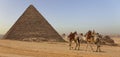 Couple of Camels Travelling in the Desert with the Great Pyramids of Egypt Next to Them
