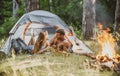 Couple on camping. Young coupl at countryside camping. Couple in love. Girlfriend and boyfriend on romantic weekend in Royalty Free Stock Photo