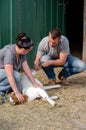 Couple caring for farm goat