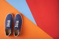 Couple of casual unisex suede sneakers standing on multicolored background