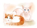 Couple of cats on the watercolor background. Ginger cat