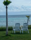 A couple of chairs facing the ocean next to palm trees