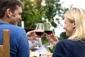 Couple Cheers Love Wine Concept Royalty Free Stock Photo