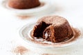 Couple Of Chocolate Mud Cakes Royalty Free Stock Photo