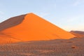 Couple dune 45 panorama Sossusvlei sunset, Namibia